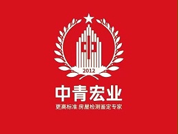 中青宏业权威房屋鉴定机构-承接各类建筑检测项目